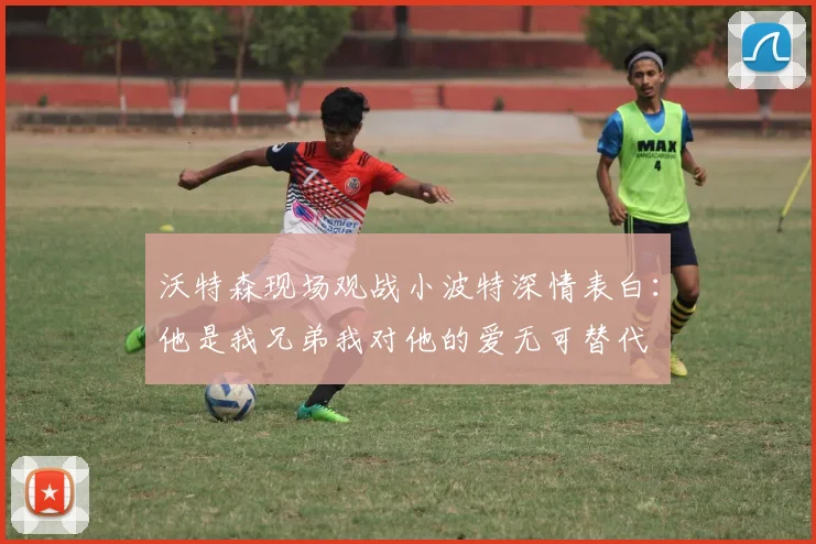 沃特森现场观战小波特深情表白：他是我兄弟我对他的爱无可替代