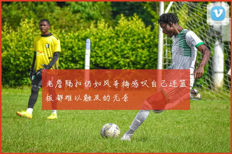 老詹隔扣仍如风夸梅感叹自己连篮板都难以触及的无奈